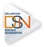 Déclaration sociale nominative : des webinaires organisés pour informer les collectivités